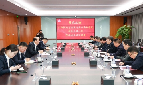 廣西壯族自治區河池市委副書記、市長王軍蒞臨桐昆