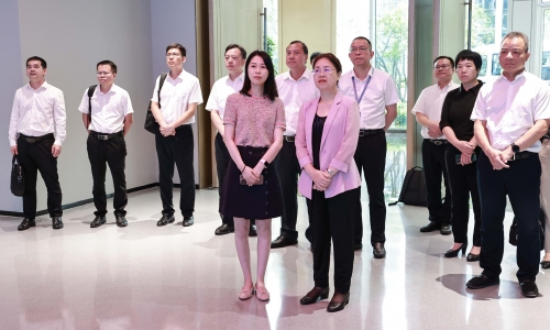 廣西壯族自治區欽州市委書記鐘暢姿蒞臨桐昆調研