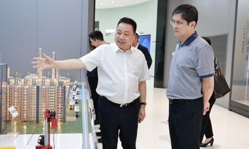 廣西壯族自治區發展改革委黨組成員、副主任莫前鋒蒞臨桐昆調研