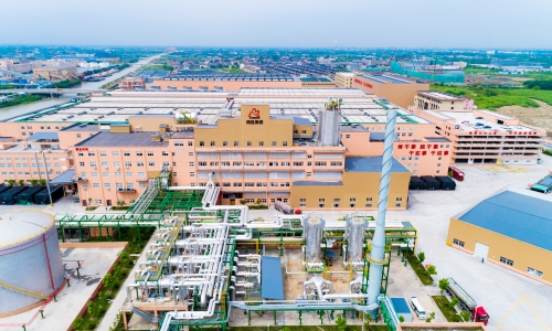 第九次獲獎！桐昆恒超代表集團再奪中紡聯產品開發貢獻獎！