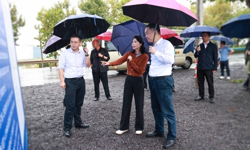 嘉興市委常委、常務(wù)副市長(zhǎng)顏海榮蒞臨桐昆項(xiàng)目地調(diào)研