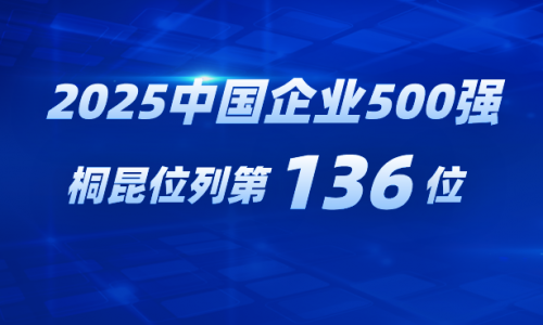 再進位！桐昆躍居2025中國企業500強第136位